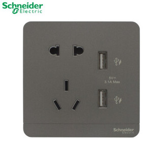 Schneider Electric 施耐德电气 绎尚系列 3.1A五孔带双USB插座 荧光灰
