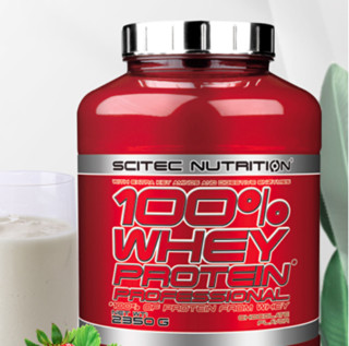 Scitec Nutrition 赛特 乳清蛋白粉 香草味