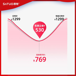 洒拖（SATUO）T5适配戴森dyson吸尘器电动拖把拖地拖布头 洒脱家用无线吸拖一体机 v10v11配件