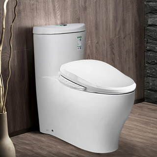 KOHLER 科勒 水漾系列 智能马桶套装 K-4165T-S-0智能马桶+K-18649T-0智能盖版 400mm坑距