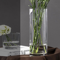 FOOJO 富居 北欧玻璃花瓶 假花干花插花摆件 富贵竹水培植物透明花瓶花器 直筒30cm大号1只