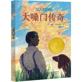 《启发精选纽伯瑞大奖少年小说》（套装共8册）