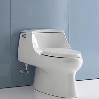 KOHLER 科勒 圣拉菲尔系列 K-3722T-0 连体式马桶 305mm坑距