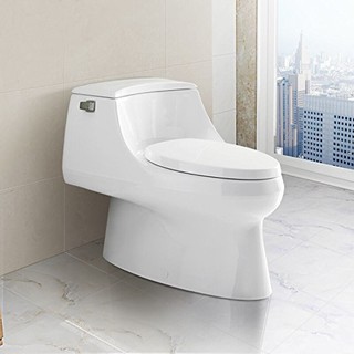 KOHLER 科勒 圣拉菲尔系列 K-3722T-0 连体式马桶 305mm坑距