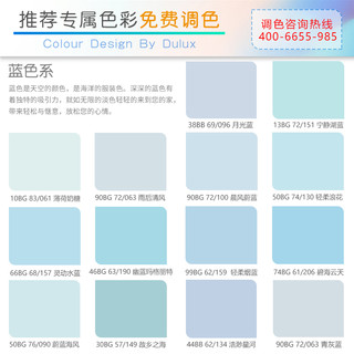 Dulux 多乐士 竹炭森呼吸无添加抗菌抗苯抗甲醛全效内墙乳胶漆 A8117+A931 15L套装