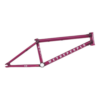 WETHEPEOPLE BUCK FRAME 自行车BMX车架 黑色 21英寸