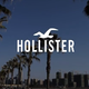 断码清仓了，Hollister小海鸥T恤四五十块拿下！