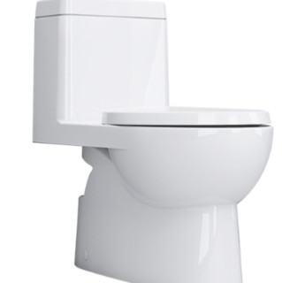 KOHLER 科勒 瑞琦系列 马桶套装 K-3983T-S2-0虹吸式马桶+1248788-SP安装三件套+R98100T-0喷枪