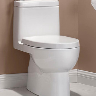 KOHLER 科勒 瑞琦系列 马桶套装 K-3983T-S2-0虹吸式马桶+1248788-SP安装三件套+R98100T-0喷枪