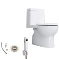 KOHLER 科勒 瑞琦系列 马桶套装 K-3983T-S2-0虹吸式马桶+1248788-SP安装三件套+R98100T-0喷枪