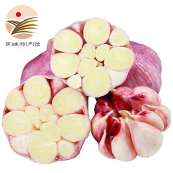 新鲜紫皮大蒜 2500g