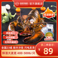 龙虾波士顿大龙虾鲜活特大波龙奥龙波斯顿海鲜水产活虾400-500g