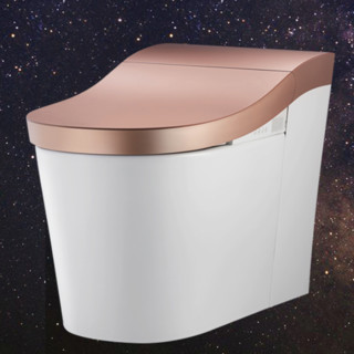 KOHLER 科勒 星朗系列 80160T-2SG-0 智能坐便器 400mm坑距 旭日金 隐藏版