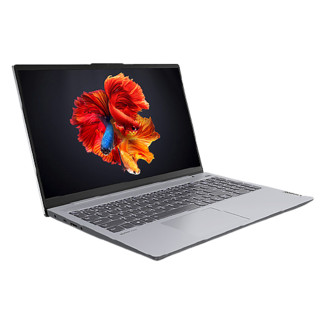 Lenovo 联想 小新15 2020锐龙版 15.6英寸 轻薄本 银色(锐龙R5-4600U、核芯显卡、16GB、512GB SSD、1080P、IPS）