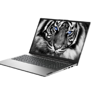 Lenovo 联想 小新 Air 15 2021款 酷睿版 15.6英寸 轻薄本 银色(酷睿i5-1135G7、MX450、16GB、512GB SSD、1080P、IPS)