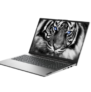 Lenovo 联想 小新 Air 15 酷睿版 2021款 15.6英寸 轻薄本 银色(酷睿i5-1135G7、MX450、16GB、512GB SSD、1080P、IPS)+65w快充