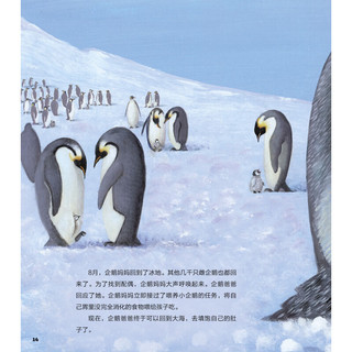 《了不起的迁徙·When penguins cross the ice: the emperor penguin 当企鹅翻越冰川》（精装）