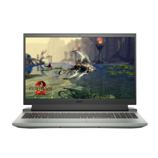 DELL 戴尔 游匣 G15 十代酷睿版 15.6英寸 游戏本 绿色 (酷睿i5-10200H、GTX 1650 4G、16GB、512GB SSD、1080P、IPS、120Hz 、R1546N)