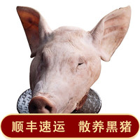 野蛮香 黑猪猪头猪耳朵猪嘴猪头肉带骨 整个猪头 无猪舌头10斤左右
