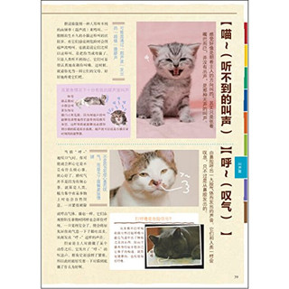 猫语大辞典 养猫书宠物书籍