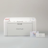 PANTUM 奔图 P2206NW 黑白激光打印机 小白学习棒/学习棒打印机套餐