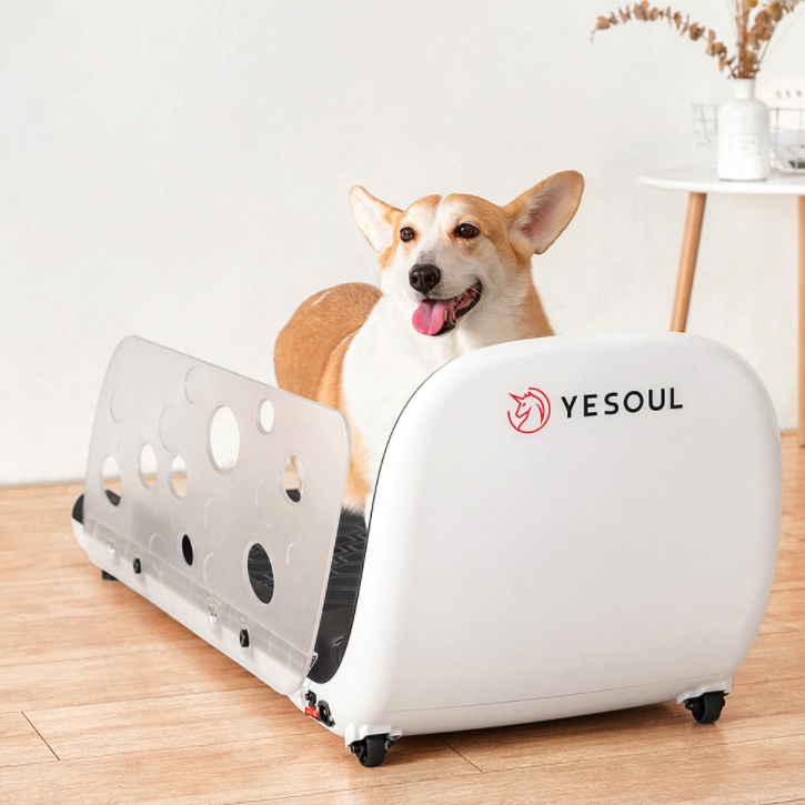 yesoul 野小兽宠物跑步机