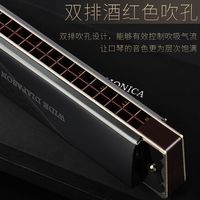 SWAN 天鹅 德国进口音簧天鹅口琴初学者成人高级28孔复音C调重音专业演奏级