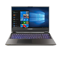 Hasee 神舟 战神 G9-CU7PK 17.3英寸 游戏本 黑色(酷睿i7-10750H、RTX 2070 8G、16GB、256GB SSD+1TB HDD、1080P)