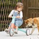 德国hape 平衡车 儿童玩具三合一可折叠滑步自行脚踏三轮车2-6岁男女小孩礼物 E8469多功能平衡车（红绿）