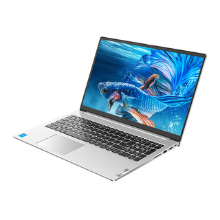 Lenovo 联想 扬天 威6 2021款 十一代酷睿版 14.0英寸 轻薄本 浩瀚银 (酷睿i5-1165G7、MX450、16GB、512GB SSD、1080P、IPS、60Hz）