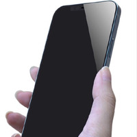 MR LEI 小雷先生 iPhone12 Pro Max 防窥钢化膜 两片装