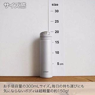 Tiger 梦重力不锈钢真空保温杯水杯车载轻量保冷杯车载杯男女情侣杯 绿色 300ML MMX-A032-GI