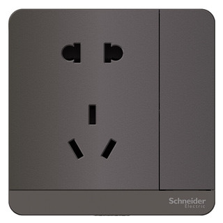 Schneider Electric 施耐德电气 AvatarOn绎尚系列 E8315_2_10US_SL_C1 五孔带双控开关插座 荧光灰色