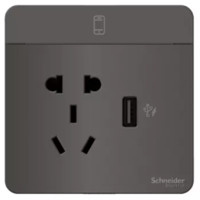 Schneider Electric 施耐德电气 AvatarOn绎尚系列 E8342610USB_SL_C1 五孔带单USB插座 荧光灰色