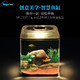 HugeSun 亚克力鱼缸水族箱 智慧生态小型鱼缸