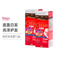 Bigen美源 Cielo宣若EX按压式染发剂日本进口原装 染发剂染发膏 80g/盒两盒装正品