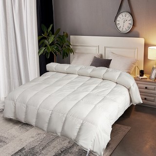 obb royalbed 新天鹅堡鹅绒被 白色 220*240cm