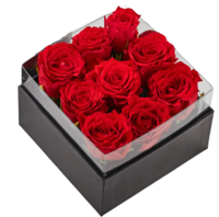 别漾花  礼遇鲜花花盒 红丝绒玫瑰 经典方盒