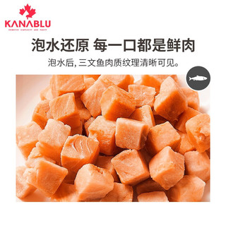 KANABLU嘉蓝猫冻干猫咪零食鸡肉冻干狗狗零食宠物冻干鸡胸肉三文鱼冻干 鸡肉冻干35g+三文鱼冻干30g