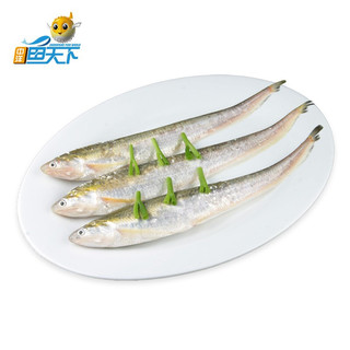 中洋鱼天下 刀鱼礼盒200g 2条装 生态养殖 江鲜鱼类食材 海鲜水产
