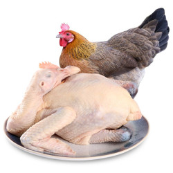 温润黑脚土鸡1kg