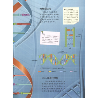 《我的第一套视觉百科·遗传的秘密》