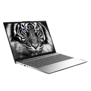 Lenovo 联想 小新 Air 15 2021款 酷睿版 15.6英寸 轻薄本 黑色(酷睿i7-1165G7、MX450、16GB、512GB SSD、1080P、IPS)