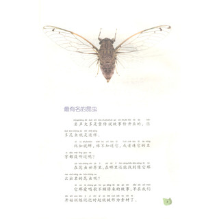 《超有趣的昆虫记·蝉》（注音美图版）