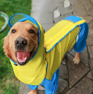 Hoopet 狗狗雨衣大型犬金毛衣服拉布拉多中型宠物大狗四脚防水的全包雨披