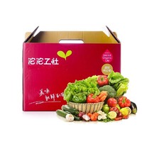 沱沱工社 有机蔬菜礼盒 约5kg 节日礼盒  新鲜蔬菜
