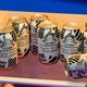 Zebra Craft 斑马精酿 比利时风味小麦啤酒330ml×24罐装 整箱