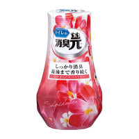 PLUS会员：小林制药 卫生间消臭元 静心百花香 400ml