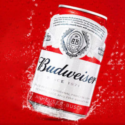 Budweiser  百威 啤酒迷你啤酒  255ml*24罐