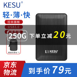 科硕（KESU）移动硬盘加密1t/500g/2t/3t/4t/5t USB3.0高速存储 250G+硬盘防震包  黑色